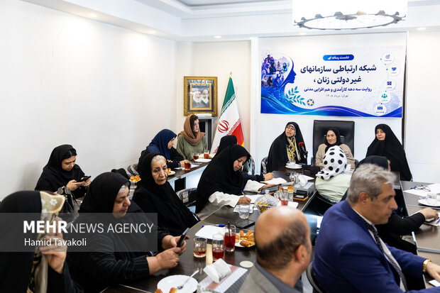 نشست رسانه‌ای شبکه ارتباطی سازمان‌های غیردولتی زنان