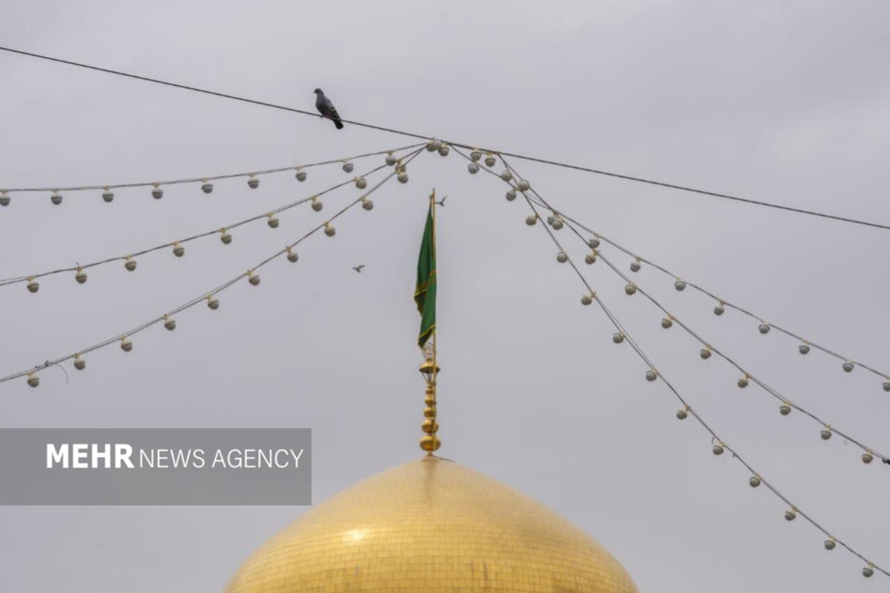 شوق پرواز در حریم امن بارگاه منور رضوی؛ قربون کبوترای حرمت امام رضا...