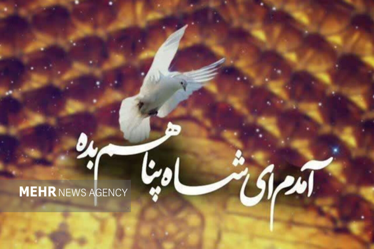 شوق پرواز در حریم امن بارگاه منور رضوی؛ قربون کبوترای حرمت امام رضا...