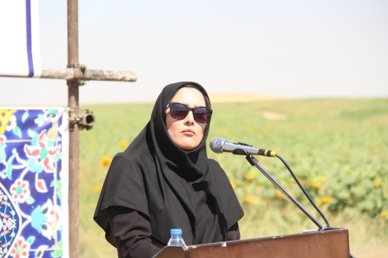 کاشت ۲۱۰ هکتار آفتاب‌گردان در لرستان
