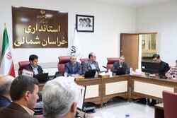 رجائی‌نیا: نظارت بر بازار خراسان شمالی تشدید می‌شود