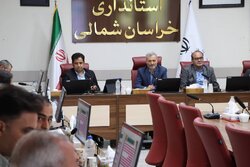 صالحی: مدیریت مصرف منابع ضامن پایداری اقتصادی است