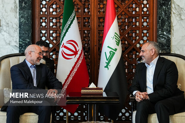 اولین روز سفر رئیس مجلس به عراق