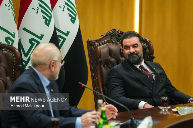 اولین روز سفر رئیس مجلس به عراق