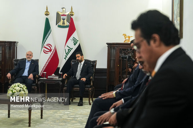 اولین روز سفر رئیس مجلس به عراق