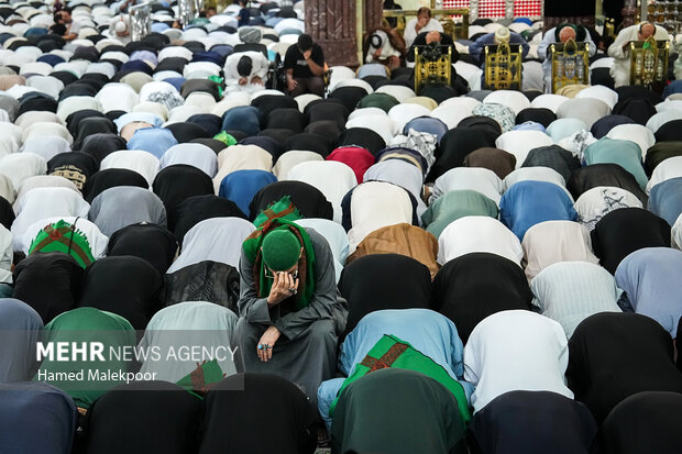 سفر رئیس مجلس به کربلا و نجف