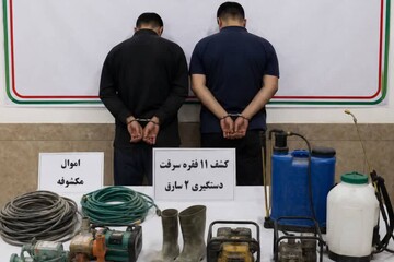 دستگیری ۲ سارق و کشف ۱۱ فقره سرقت از خانه‌باغ و محتویات خودرو در میانه