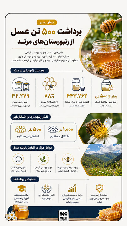 اینفوگرافیک؛ پیش‌بینی برداشت ۵۰۰ تن عسل از زنبورستان‌های مرند