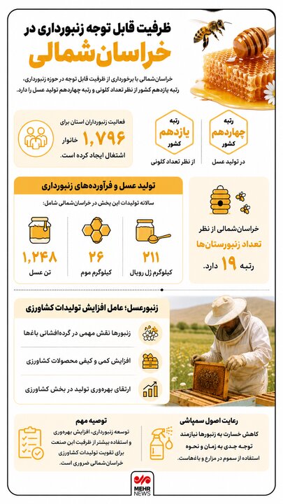 اینفوگرافیک؛ رتبه یازدهم خراسان شمالی کشور در تعداد کلونی زنبور