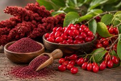 سماق و زغال‌اخته قره‌داغ در انتظار عبور از خام‌فروشی و واسطه‌گری