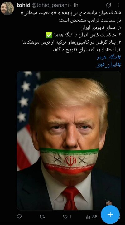 کاربران ایرانی در جستجوی ساقی ترامپ!