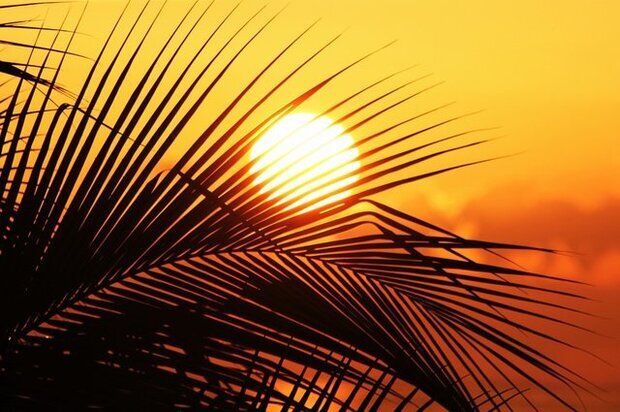 رگبار پراکنده و تندباد لحظهای در برخی نقاط بوشهر؛ گرما تداوم دارد رگبار پراکنده و تندباد لحظهای در برخی نقاط بوشهر؛ گرما تداوم دارد
