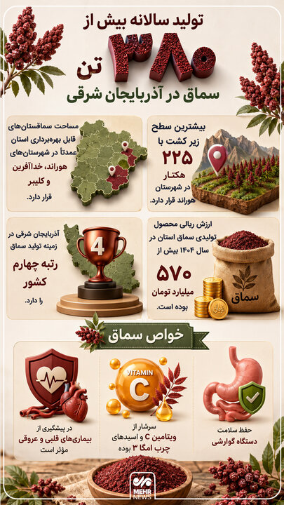 اینفوگرافیک؛ تولید سالانه بیش از ۳۸۰ تن سماق در آذربایجان شرقی