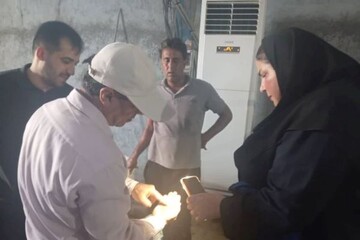 مدیرکل دفتر میگو و آبزیان شیلات: زیرساختهای آبزی پروری توسعه مییابد ...