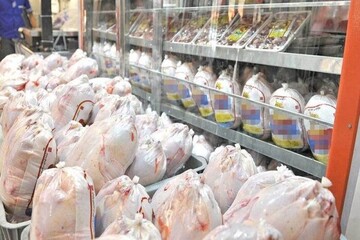 برخورد قانونی و جدی با گران‌فروشی در بازار مرغ لرستان