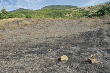 آتش سوزی ۴ هکتار از جنگل‌های ارسباران