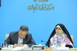 جشنواره ملی آش ایرانی؛ پیوند فرهنگ، خانواده و اقتصاد است