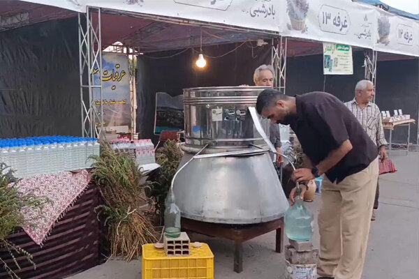جشنواره خوش عطر بادرشبی در مراغه