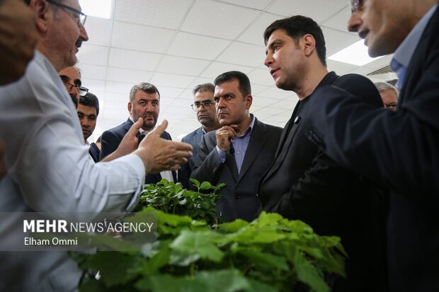 سفر معاون علمی رئیس‌جمهور به استان کردستان