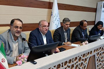 تحقق ۱۳۰ درصدی سهم تسهیلات مشاغل خانگی در مراغه