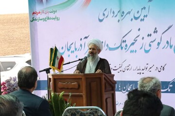 امام جمعه مراغه: تولید و خدمت به مردم از مصادیق مهم جهاد است