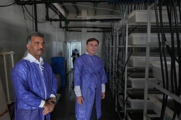 رونق اقتصاد دانش‌بنیان در تنگستان؛ توسعه واحدهای آبزی پروری