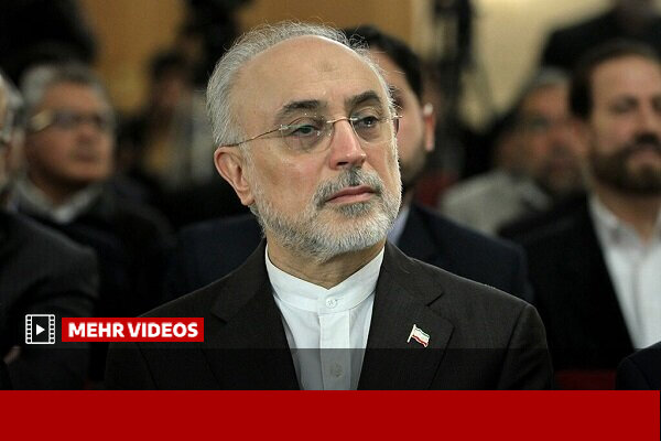 صالحی: یکی از ماموریت‌های جایزه مصطفی کشف دانشمندان جهان اسلام است