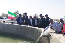 آغاز عملیات احداث و بهره‌برداری از ۱۵ واحد استخر پرورش ماهی در زهک