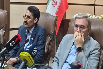 برگزاری نشست هم‌اندیشی نخبگان دانشگاه علوم پزشکی زاهدان
