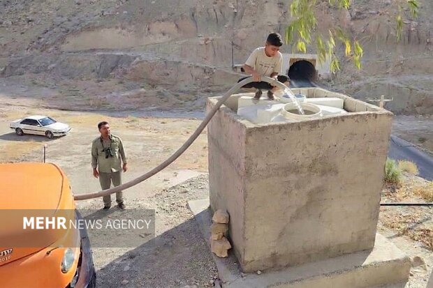 تامین آب حیات وحش بوشهر با مشارکت مردم؛ وقتی آب نذر زندگی میشود
