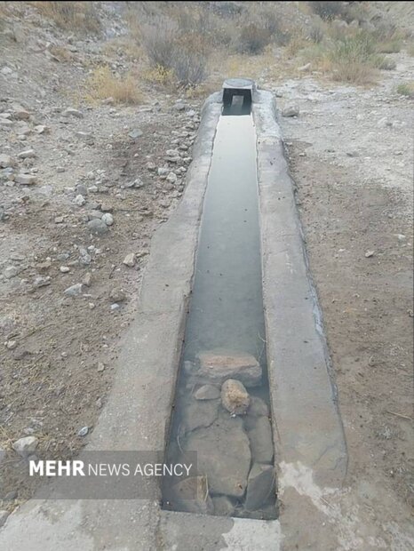 تامین آب حیات وحش بوشهر با مشارکت مردم؛ وقتی آب نذر زندگی می‌شود