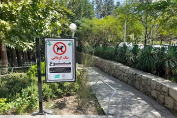 ممنوعیت سگ‌گردانی در بوستان‌ها و فضاهای سبز مشهد