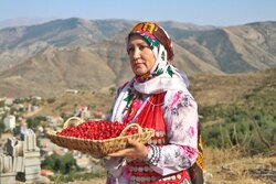 برگزاری نهمین دوره جشنواره زغال‌اخته در شهرستان کلیبر