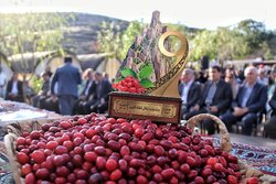نهمین دوره جشنواره زغال‌اخته کلیبر