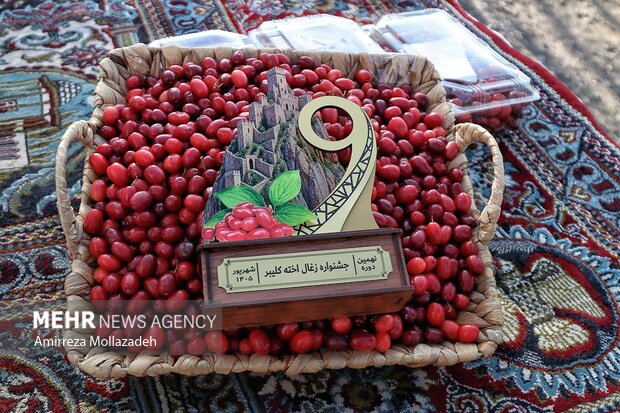 نهمین دوره جشنواره زغال‌اخته کلیبر