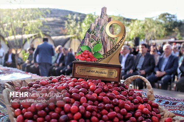 نهمین دوره جشنواره زغال‌اخته کلیبر
