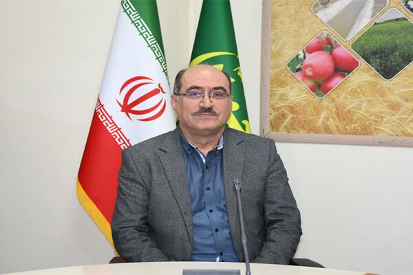 واریز یارانه نقدی کودهای فسفاته به حساب کشاورزان آذربایجان شرقی