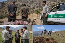 کلنگ و تفنگ در دنا؛ شکارچیان متوقف و عشایر از تخریب منصرف شدند