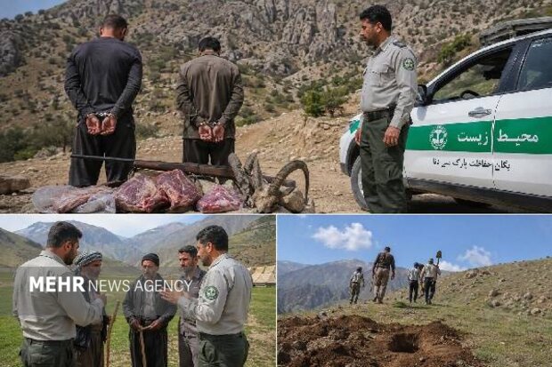 کلنگ و تفنگ در دنا؛ شکارچیان متوقف و عشایر از تخریب منصرف شدند