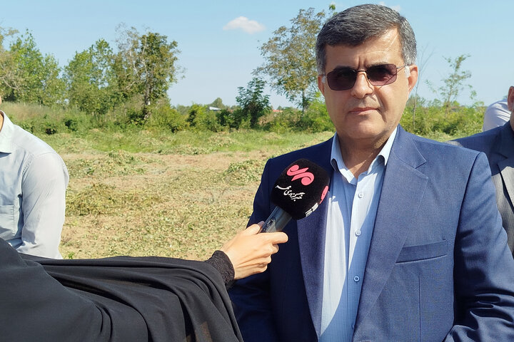 حیدری نژاد: ۸۰ درصد بادام‌زمینی گیلان در آستانه اشرفیه کشت می‌شود