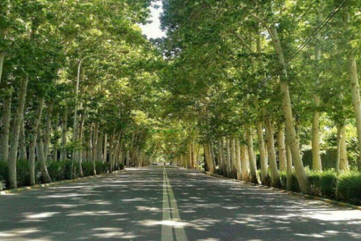 چهارباغ؛ شهرستانی جوان در مسیر تبدیلشدن به قطب جدید اقتصادی البرز