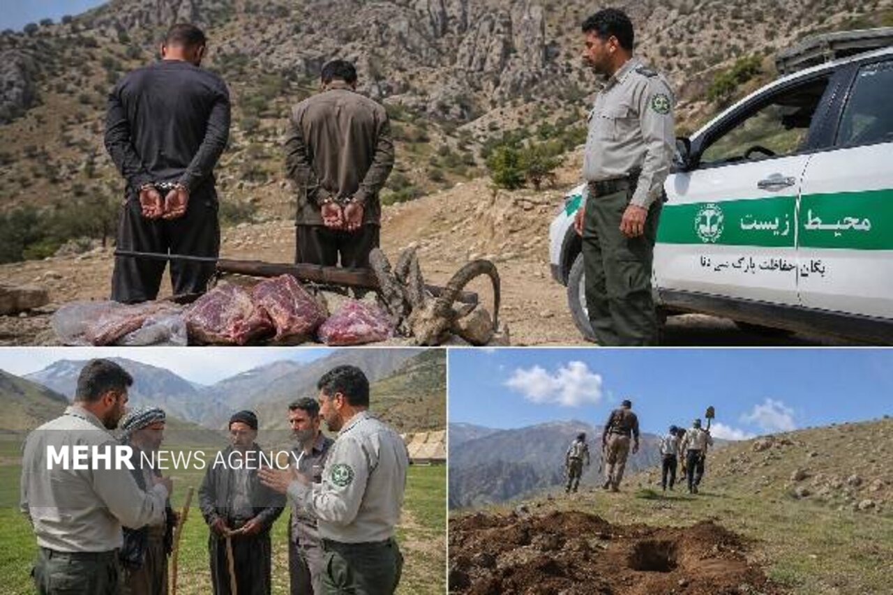 کلنگ و تفنگ در دنا؛ شکارچیان متوقف و عشایر از تخریب منصرف شدند
