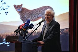 نوری: خراسان‌شمالی ظرفیت تبدیل شدن به زیستگاه امن حیات وحش را دارد