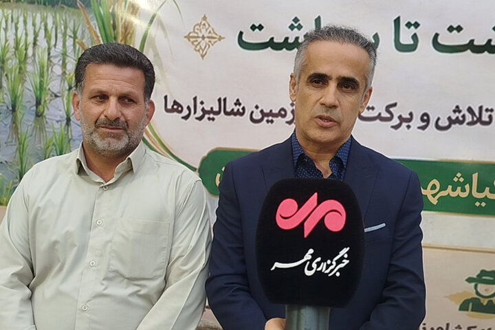 تلاش برای ثبت «روز بندر کیاشهر»؛ جشنواره صیادی در راه است