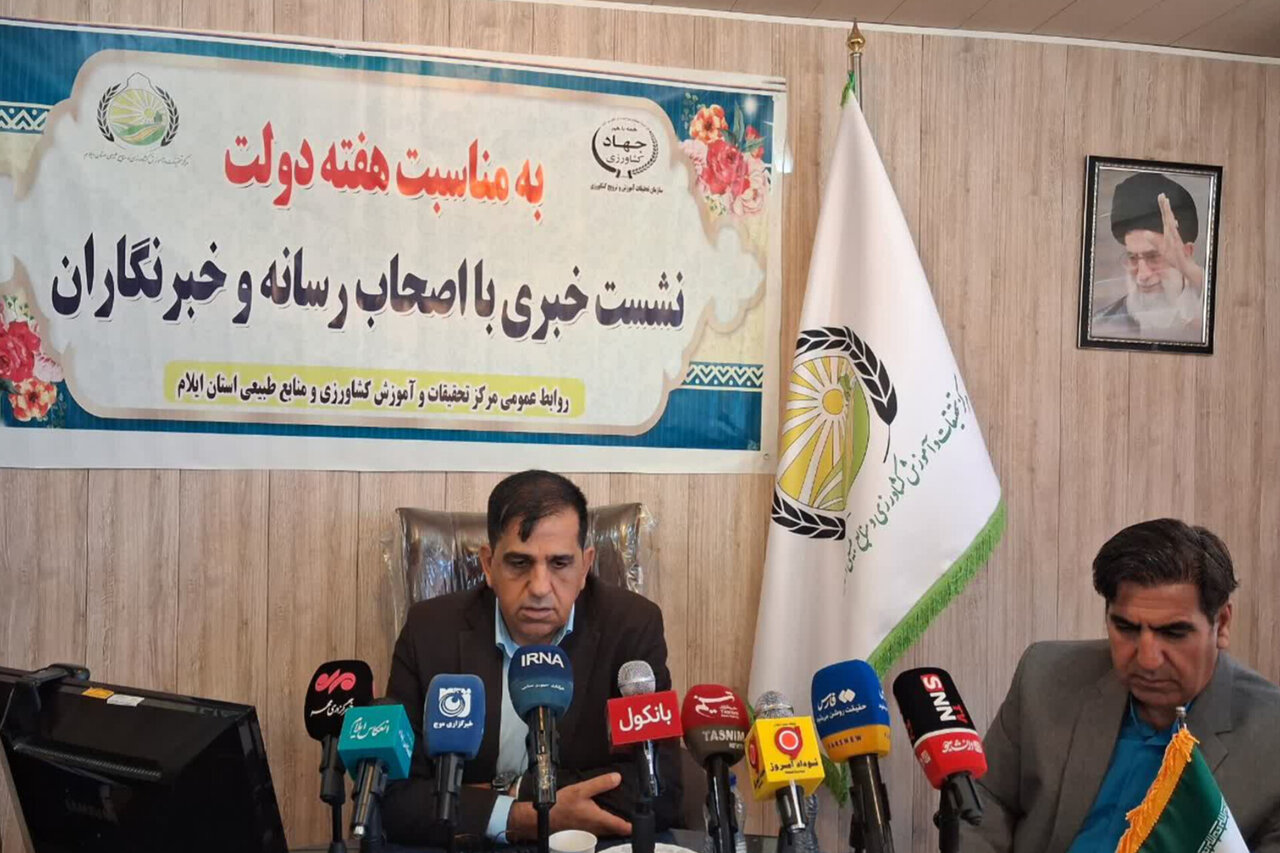 الگوی تک‌محصولی گندم مانع توسعه پایدار بخش کشاورزی ایلام است