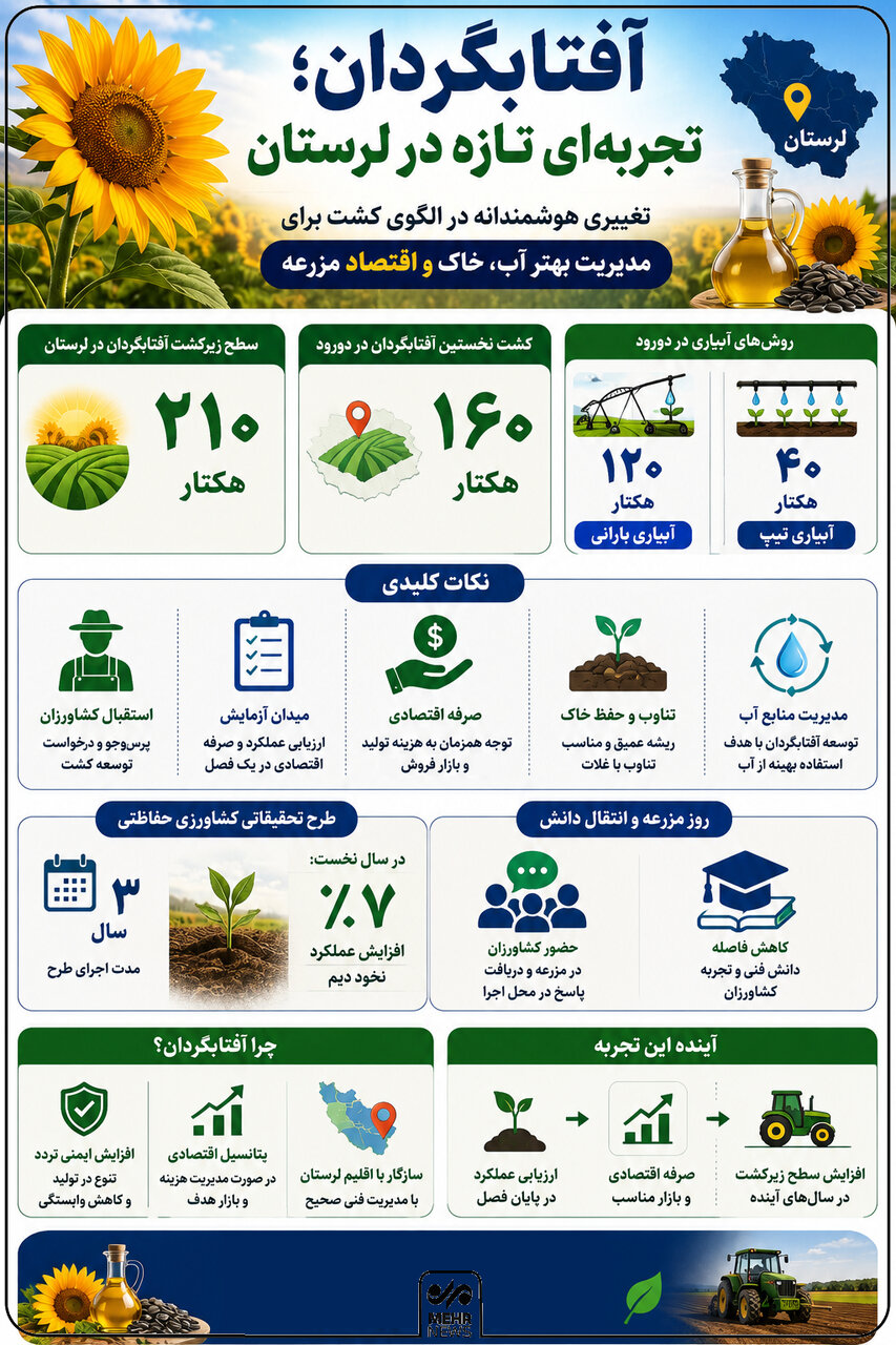 اینفوگرافیک؛ «آفتابگردان» تجربه‌ای تازه در لرستان