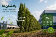 بادشکن‌ها؛ ظرفیت مغفول برای مهار مصرف انرژی در کشور
