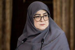 مهاجرانی: آنچه انجام شده تمام توان دولت است