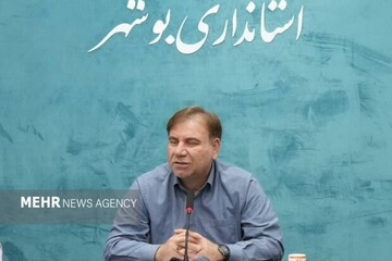 افتتاح و آغاز عملیات اجرایی بیش از ۱۰۰ پروژه در دشتی
