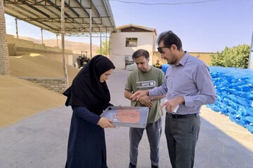 لزوم ارتقای کیفیت بذر و تسریع توزیع نهاده‌ها در لرستان